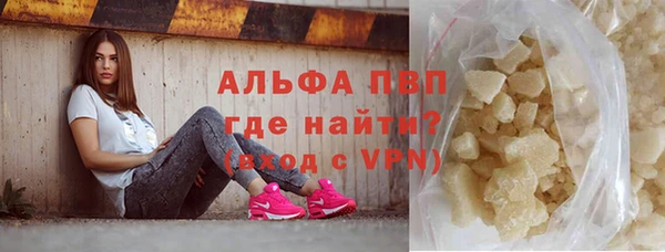 сатива Горняк