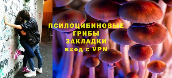 МДПВ Абаза