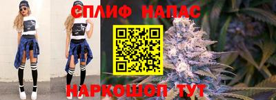 прущие крисы Донской